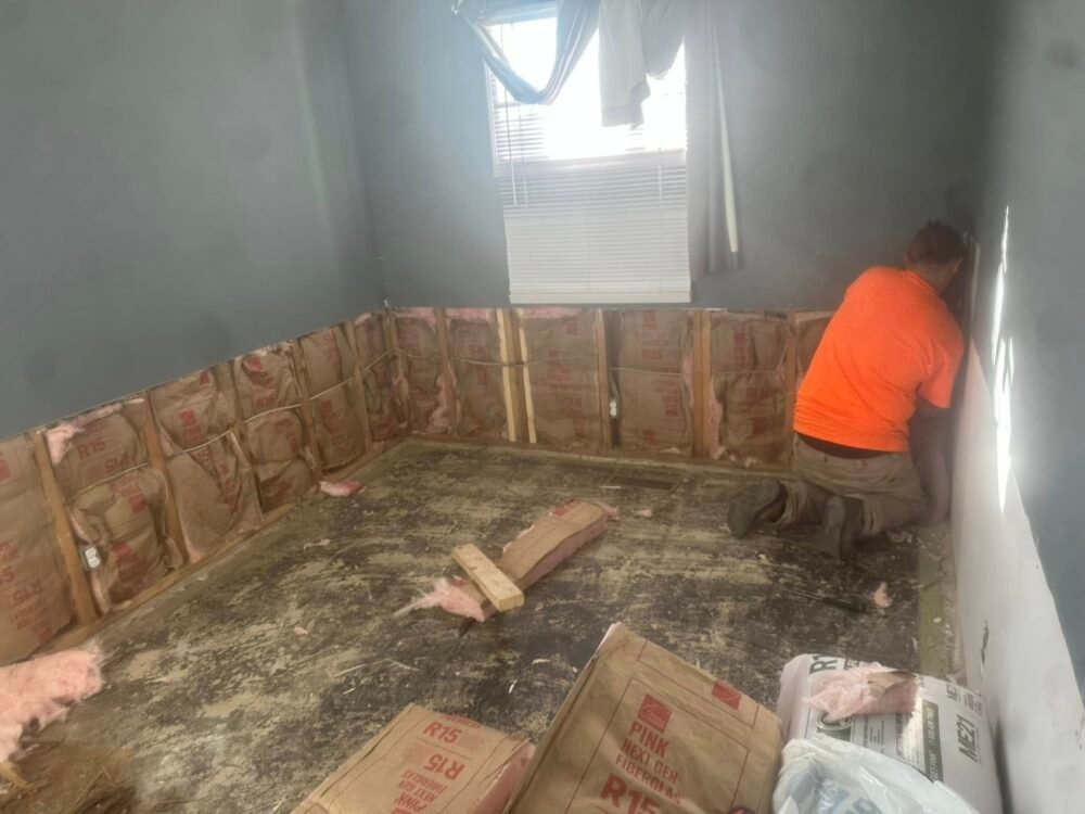 Featured image for Mold Remediation